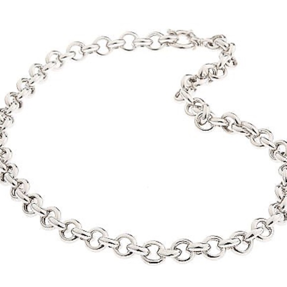 Diamonique Jewelry - QVC Epiphany Platinum Clad High Polished Rolo Necklace. 0432